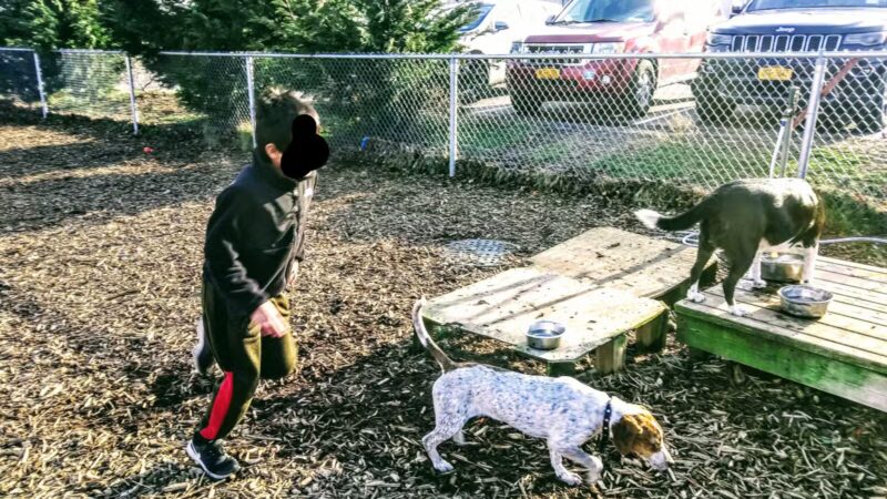 Southold Dog Park - Peconic, NY