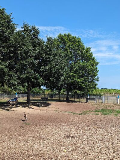 Southold Dog Park - Peconic, NY