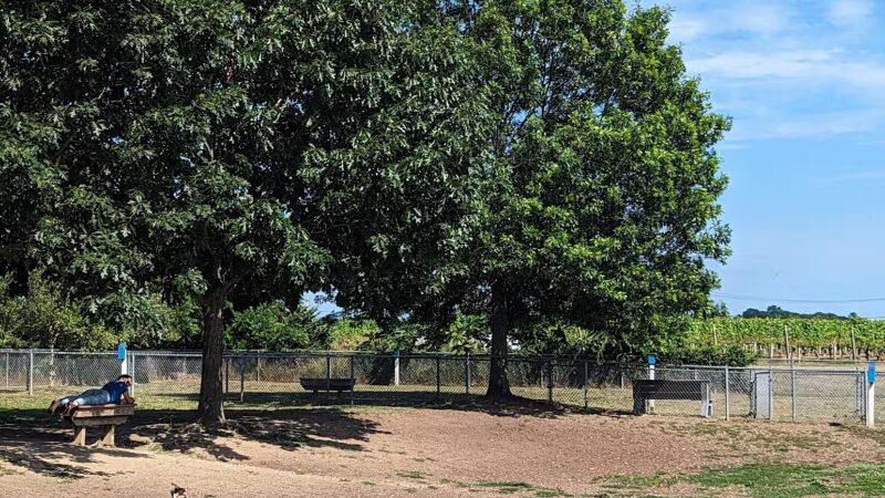 Southold Dog Park - Peconic, NY