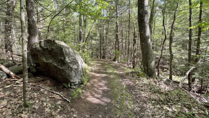 Brooks Woodland Preserve - Petersham, MA