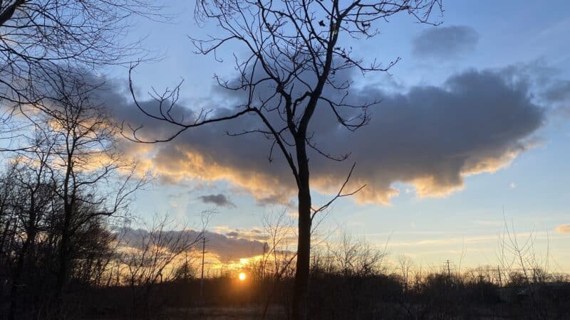 Setauket-Port Jefferson Station Greenway Trail - Port Jefferson Station, NY
