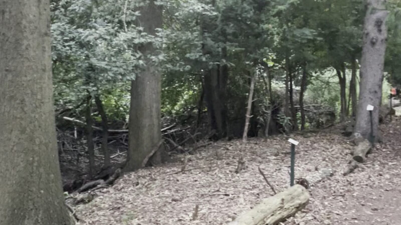 Ridgefield Nature Center - Ridgefield, NJ