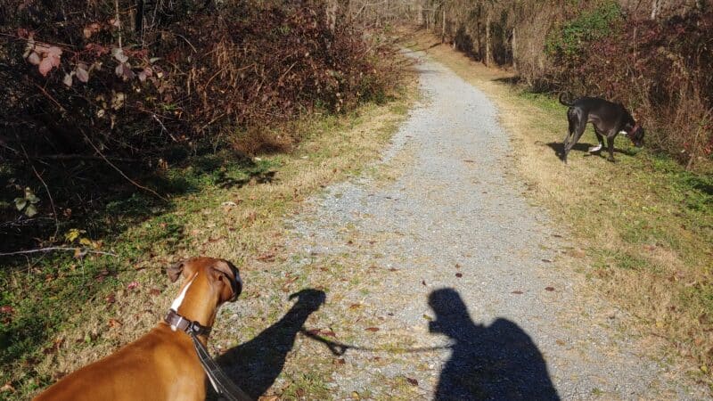 Blue Ridge Park - Roanoke, VA