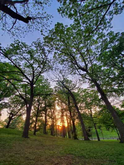 Highland Park - Roanoke, VA