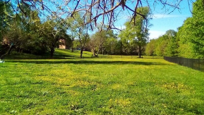 Thrasher Park - Roanoke, VA