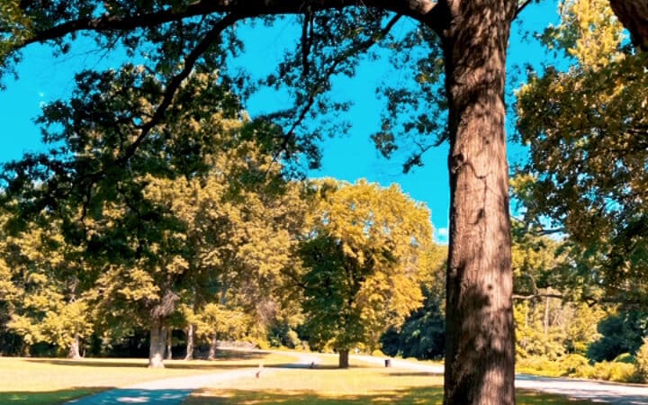 Bergen County Rochelle Park - Rochelle Park, NJ