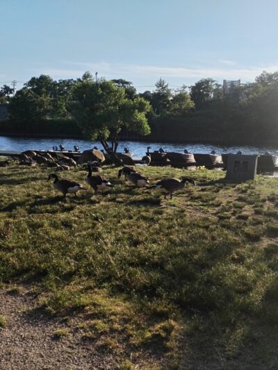 Rutherford Waterfront Park - Rutherford, NJ
