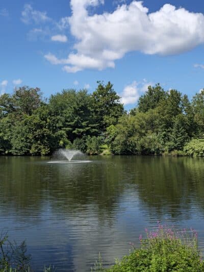 Saddle River County Park - Saddle Brook, NJ