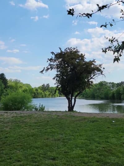 Saddle River County Park - Otto C. Pehle Area - Saddle Brook, NJ
