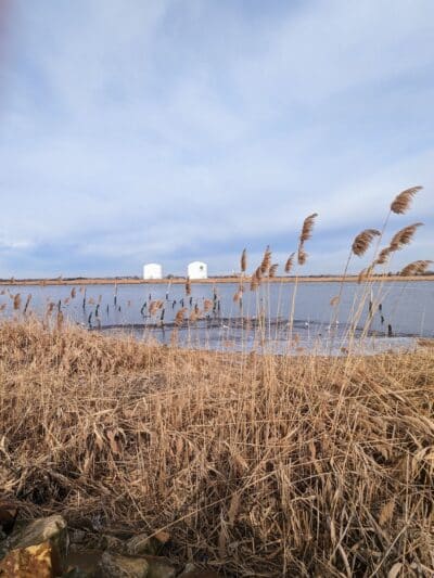 Secaucus Greenway - Secaucus, NJ