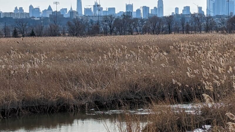 Secaucus Greenway - Secaucus, NJ