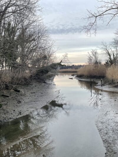 East Setauket Pond Park - Setauket- East Setauket, NY