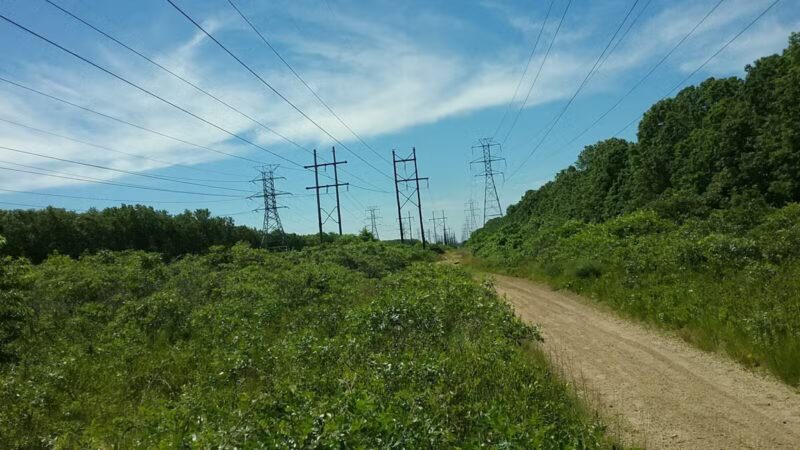 Laurel Ridge Setauket Woods Nature Preserve - Setauket- East Setauket, NY