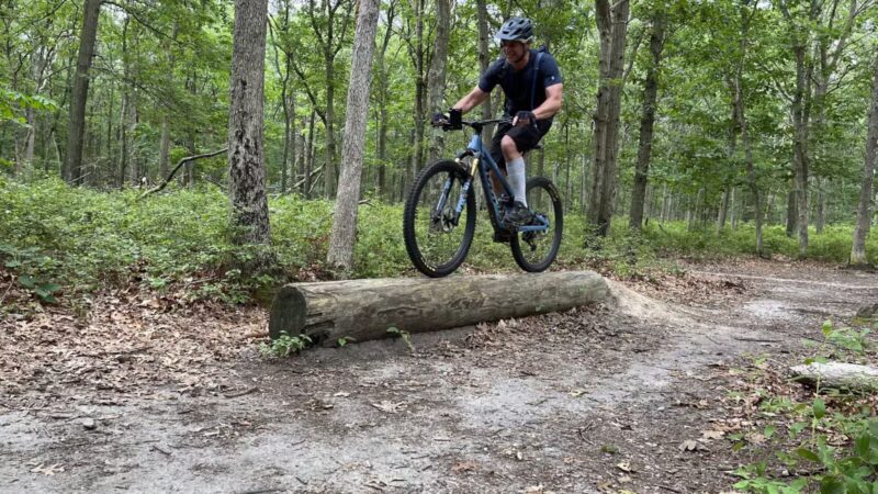 Laurel Ridge Setauket Woods Nature Preserve - Setauket- East Setauket, NY