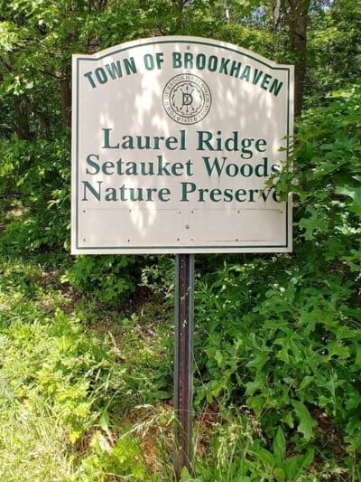 Laurel Ridge Setauket Woods Nature Preserve - Setauket- East Setauket, NY
