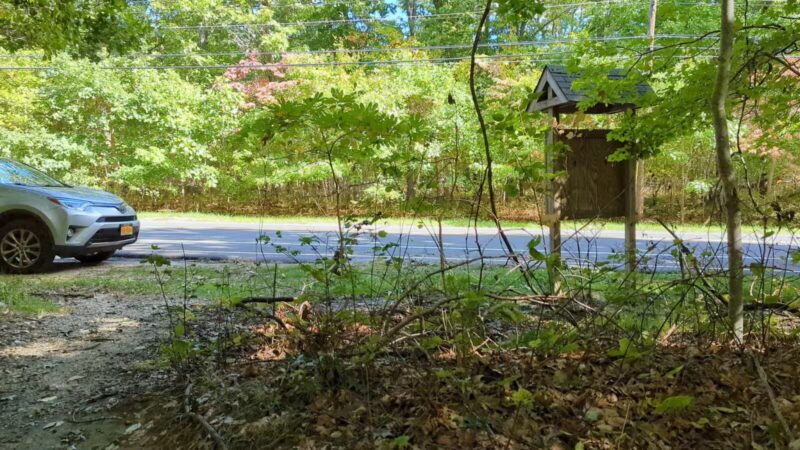 Laurel Ridge Setauket Woods Nature Preserve - Setauket- East Setauket, NY