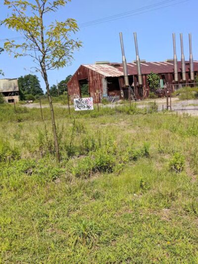 Setauket Greenway Trail - Setauket- East Setauket, NY