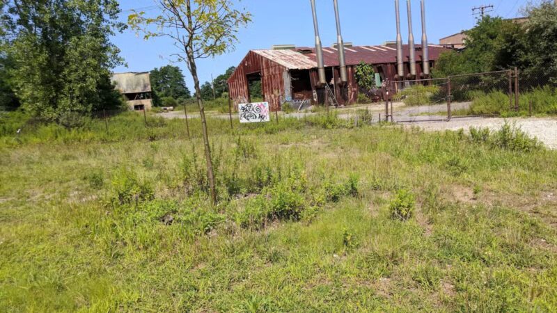 Setauket Greenway Trail - Setauket- East Setauket, NY