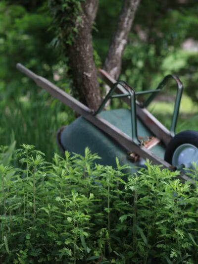 Trustees Park - Setauket- East Setauket, NY