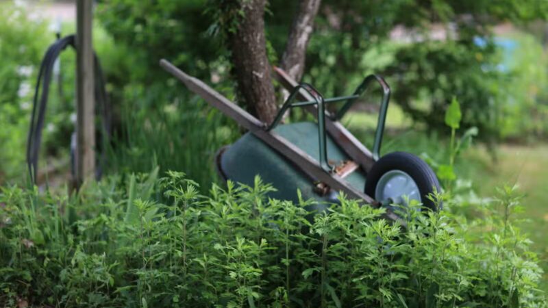 Trustees Park - Setauket- East Setauket, NY
