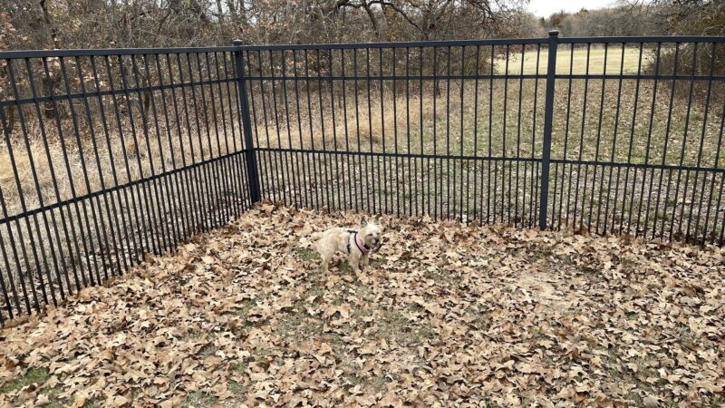 Boo Boo's Buddies Dog Park - Southlake, TX