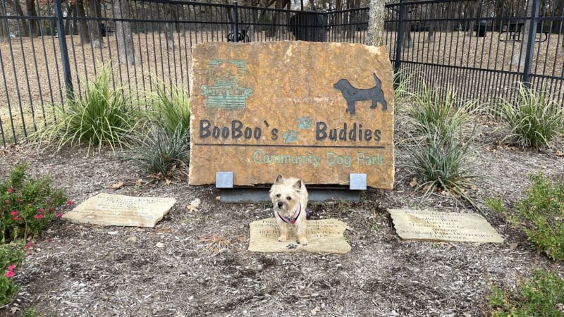 Boo Boo's Buddies Dog Park - Southlake, TX