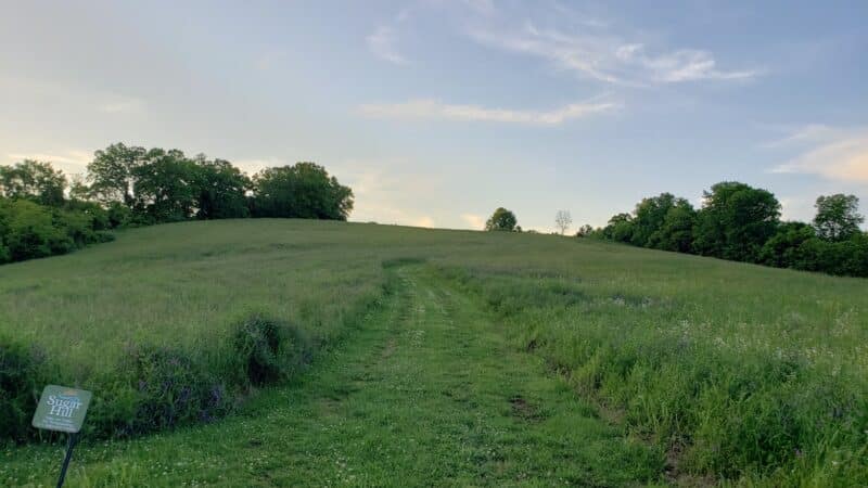 Sugar Hill Trail System - St Paul, VA