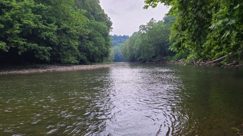 Sugar Hill Trail System - St Paul, VA