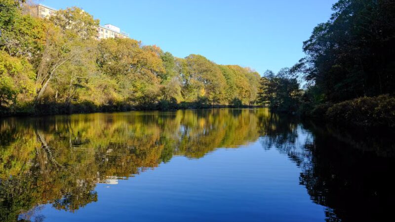 Clove Lakes Park - Staten Island, NY