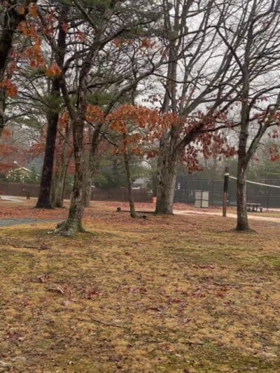 Strathmore Park - Stony Brook, NY