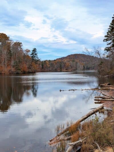 Fairy Stone State Park - Stuart, VA