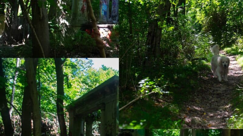 The Ruins of Zog I, Muttontown Preserve, Muttontown, NY - Syosset, NY
