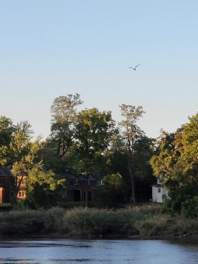 Andreas Park - Teaneck, NJ