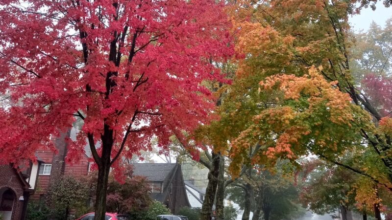 Sagamore Park - Teaneck, NJ