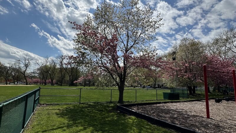 Sagamore Park - Teaneck, NJ