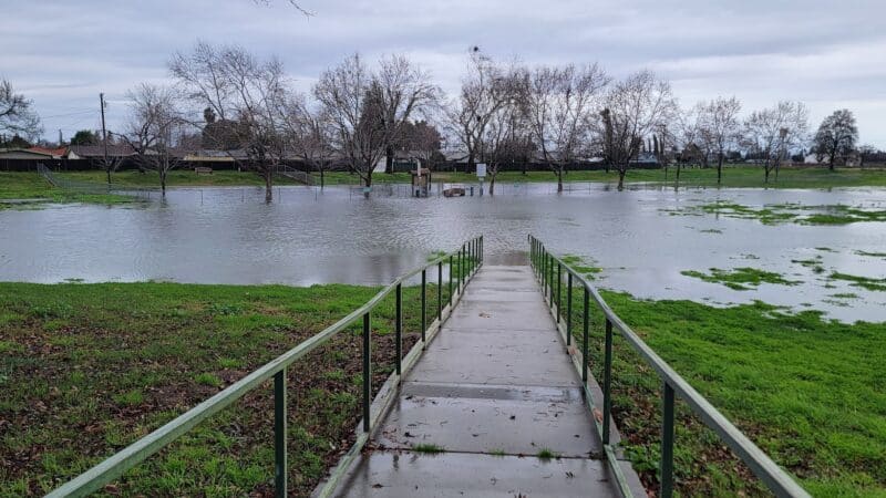 Quaile Rand Norton Dog Park - Turlock, CA