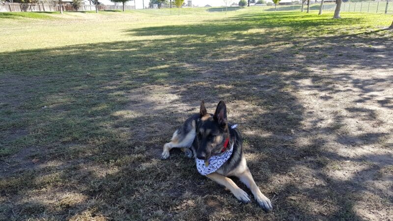 Quaile Rand Norton Park - Turlock, CA