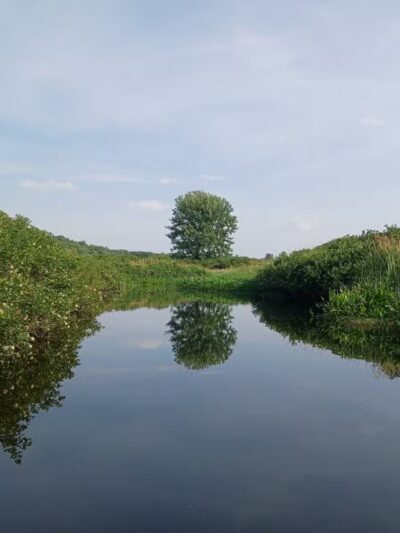 Kanokolus Bog Preserve - Unity, ME