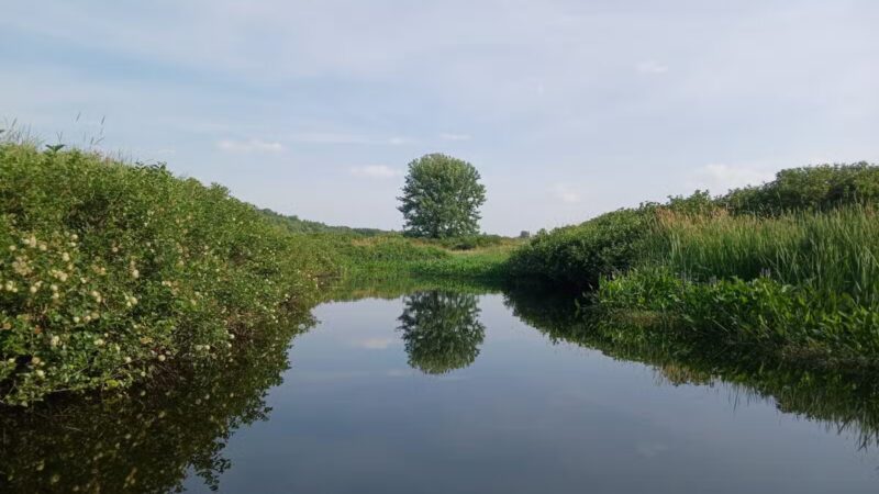 Kanokolus Bog Preserve - Unity, ME