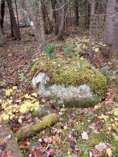 Kanokolus Bog Preserve - Unity, ME