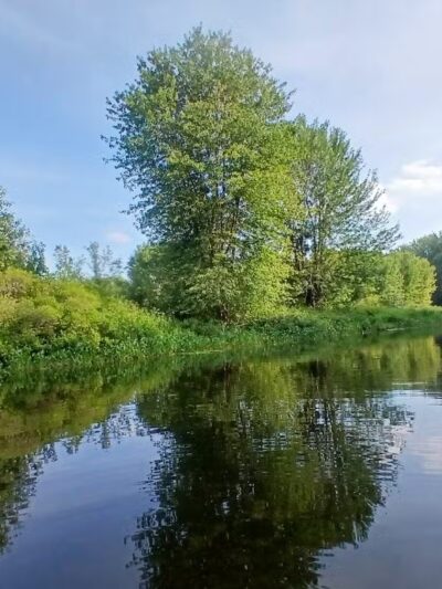 Kanokolus Bog Preserve - Unity, ME