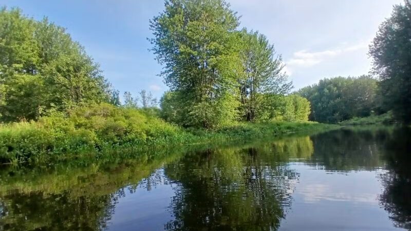 Kanokolus Bog Preserve - Unity, ME