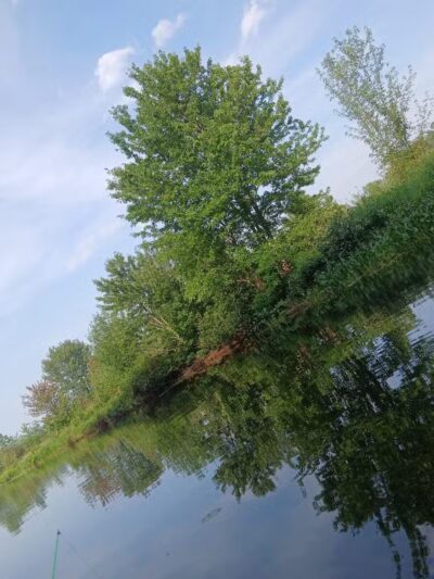Kanokolus Bog Preserve - Unity, ME