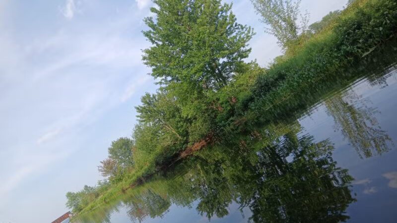 Kanokolus Bog Preserve - Unity, ME