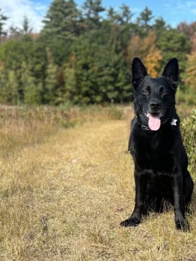 Peace & Unity Pet Services - Unity, ME