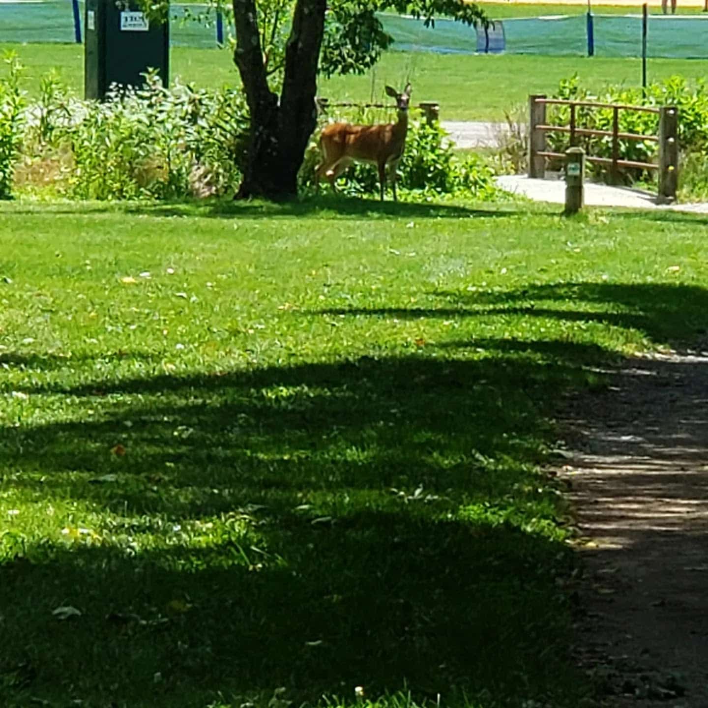 Wolf Creek Greenway Trailhead - Vinton, VA