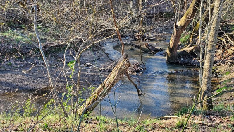 Wolf Creek Greenway Trailhead - Vinton, VA