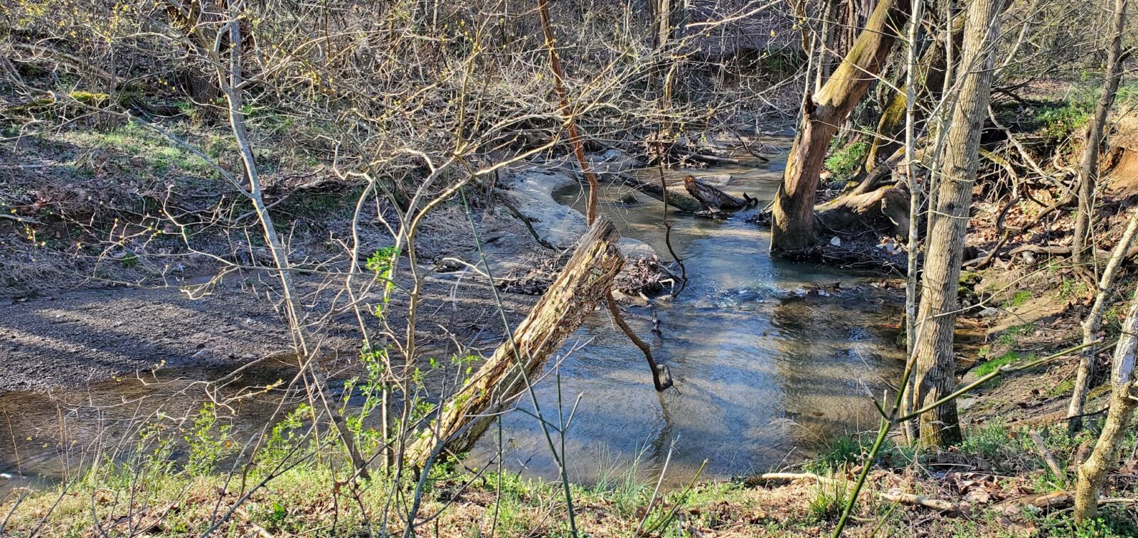 Wolf Creek Greenway Trailhead - Vinton, VA