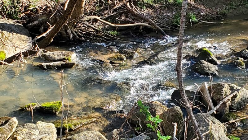 Wolf Creek Greenway Trailhead - Vinton, VA