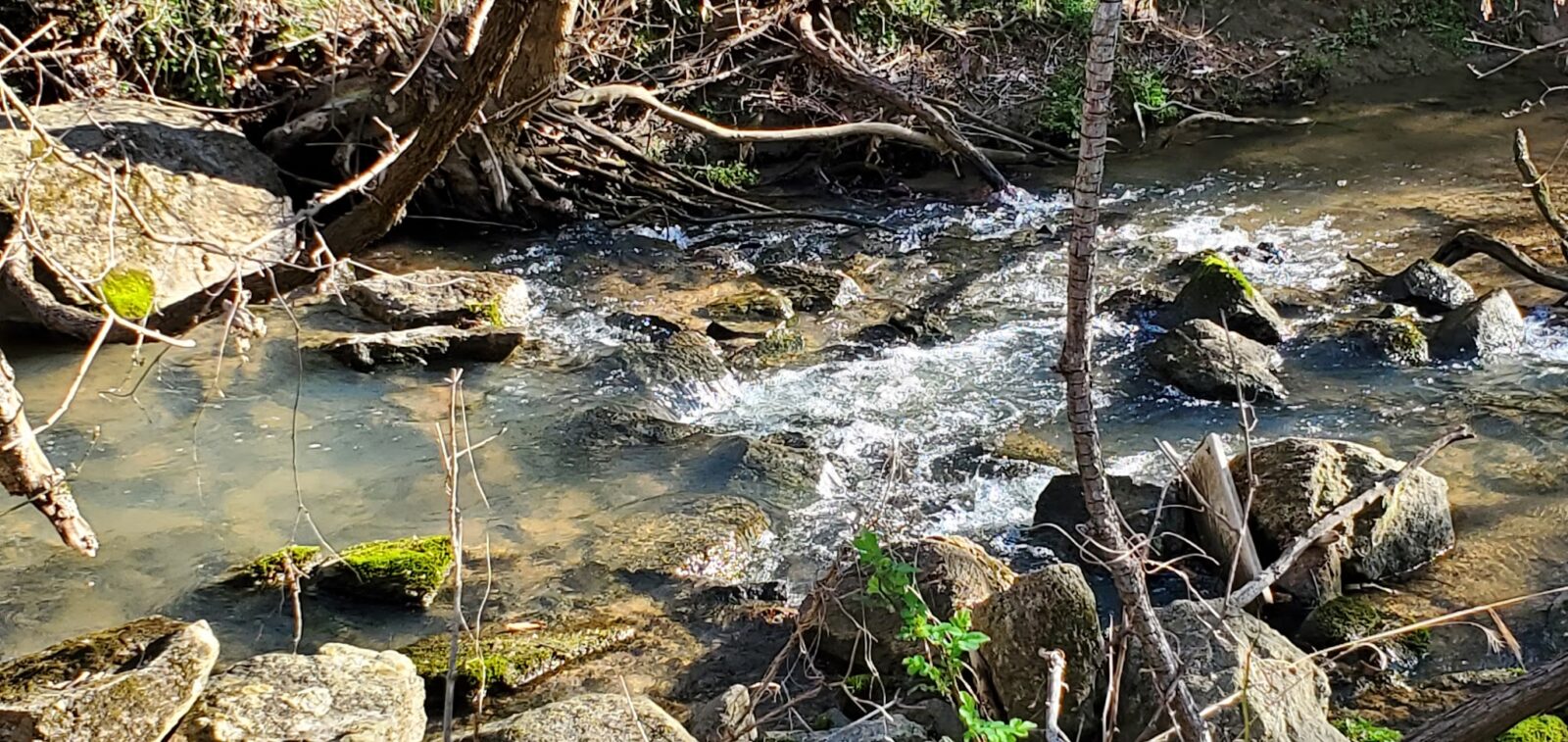 Wolf Creek Greenway Trailhead - Vinton, VA